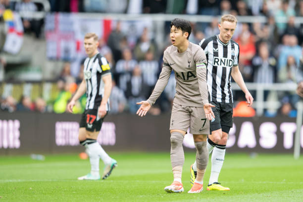 文化推广的 文化推广的