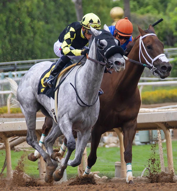 这种大胆的 这种大胆的