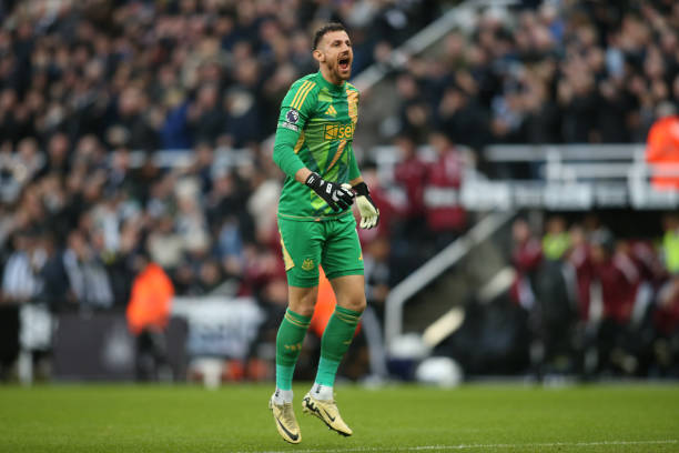 在塔雷米加 在塔雷米加