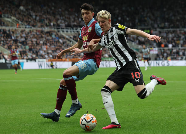 中的适应性 中的适应性